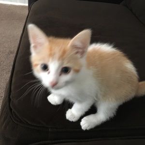 Meet your Posher, Hope